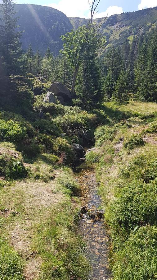 Skaly Spaly Przesieka Dış mekan fotoğraf