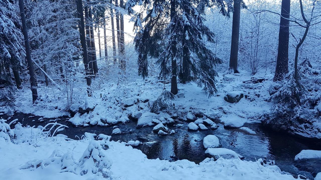 Skaly Spaly Przesieka Dış mekan fotoğraf