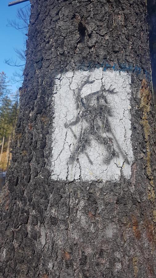 Skaly Spaly Przesieka Dış mekan fotoğraf