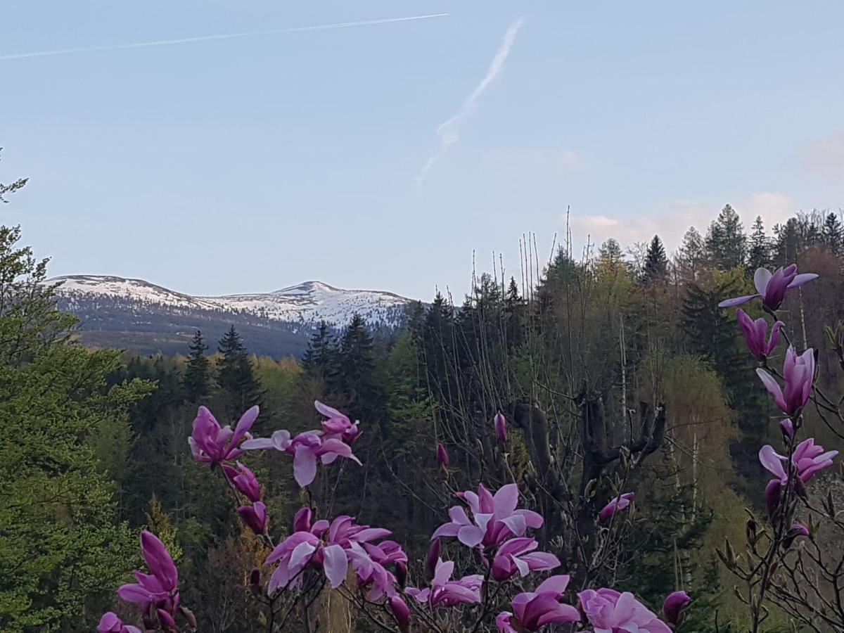 Skaly Spaly Przesieka Dış mekan fotoğraf